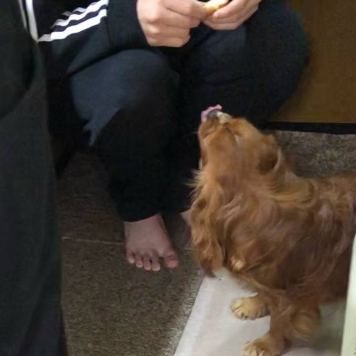 09f9d363 dc9e 4ce0 b89f cad508442c88 1618525208202