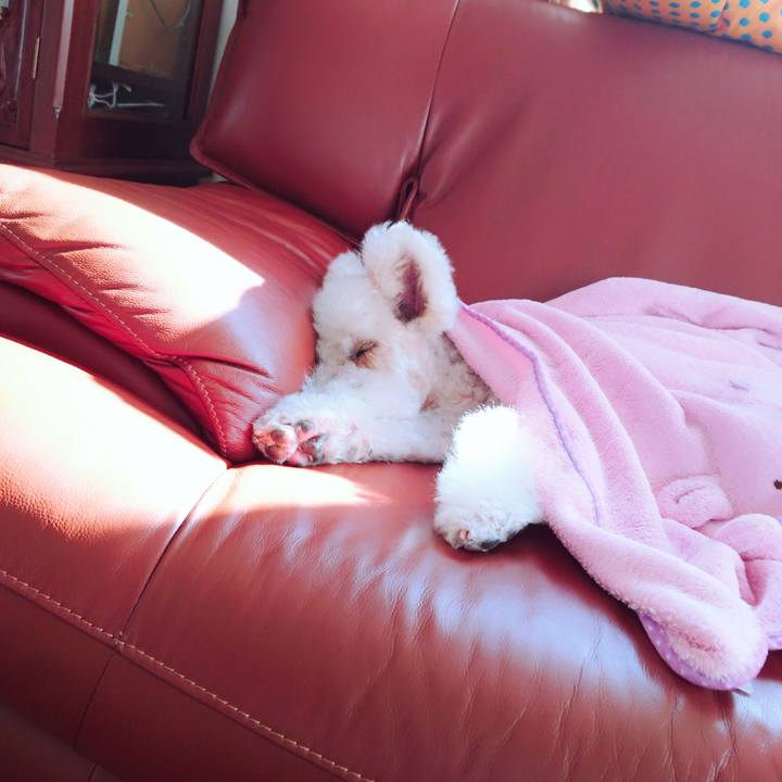 09f9e10f 303f 49fa b423 c44f6db69d57 1517807898044