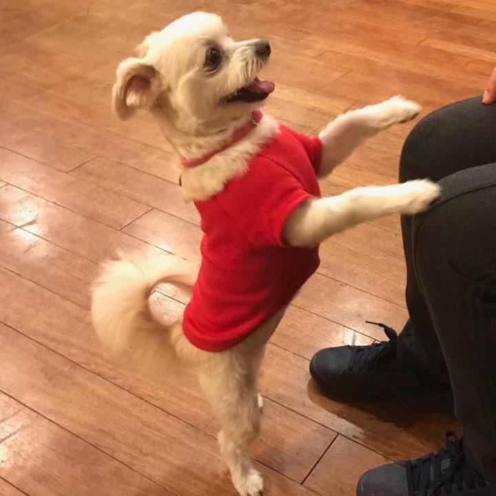 09fa23f2 3a4a 46a1 aa10 6e01d3dac4a6 1512169838357