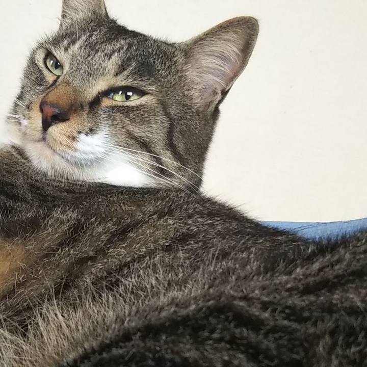 09fa24b6 827c 454d 870b e8afd55f83be 1601696477169