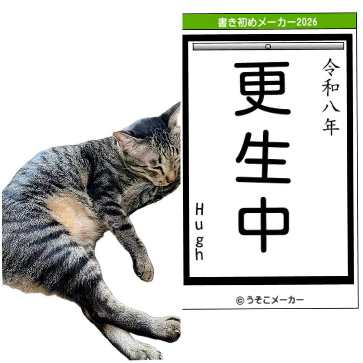 09fa46fd 198f 4c90 98f2 f35450cdfd6f 1767621540657