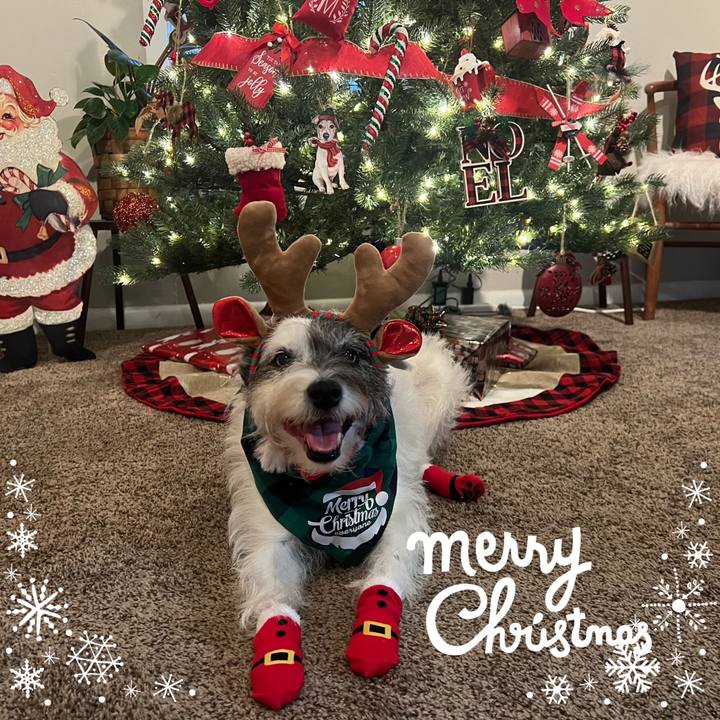 09fa4e3d b14e 4863 a05b 59280ba233ed 1703456100235