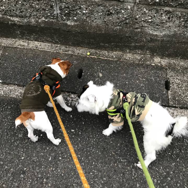 09fa61f0 af13 4a06 8e14 1fbe9b780394 1521448780717