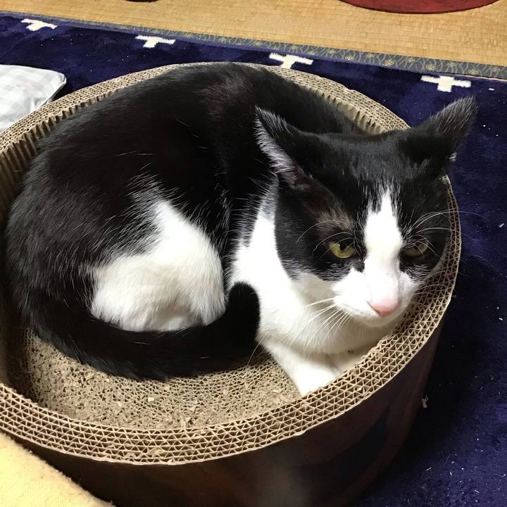 09fa63e9 969e 4525 9600 1e68f5bb66af 1708237973568