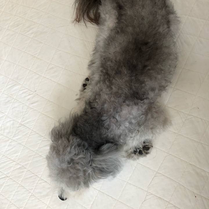 09faad13 5b8f 4650 9143 ab0e2fb3efe1 1569418716826