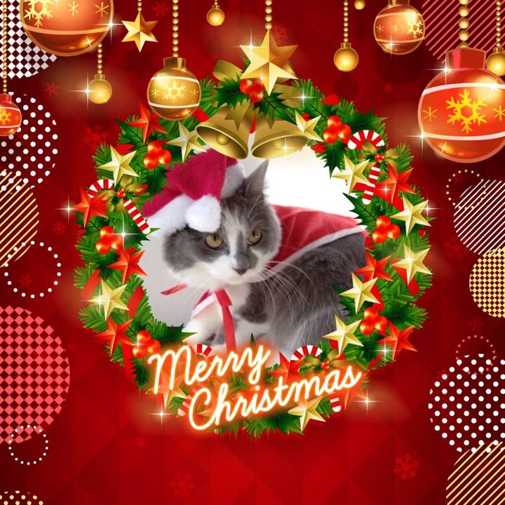 09fab5f8 571e 43f5 926b 039e6a39806e 1671845000788