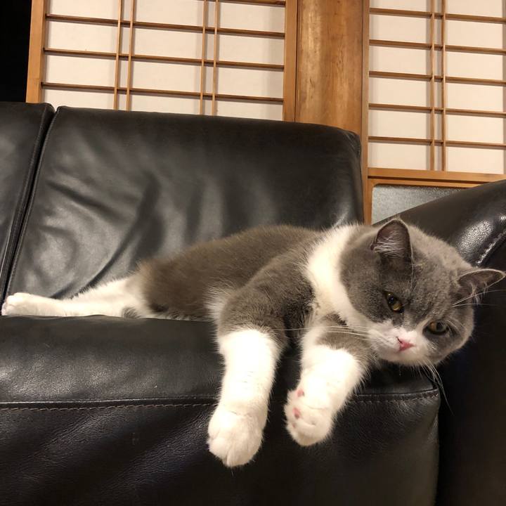 09fac472 6382 4baa b7b2 22e1bfeaca91 1561380977233