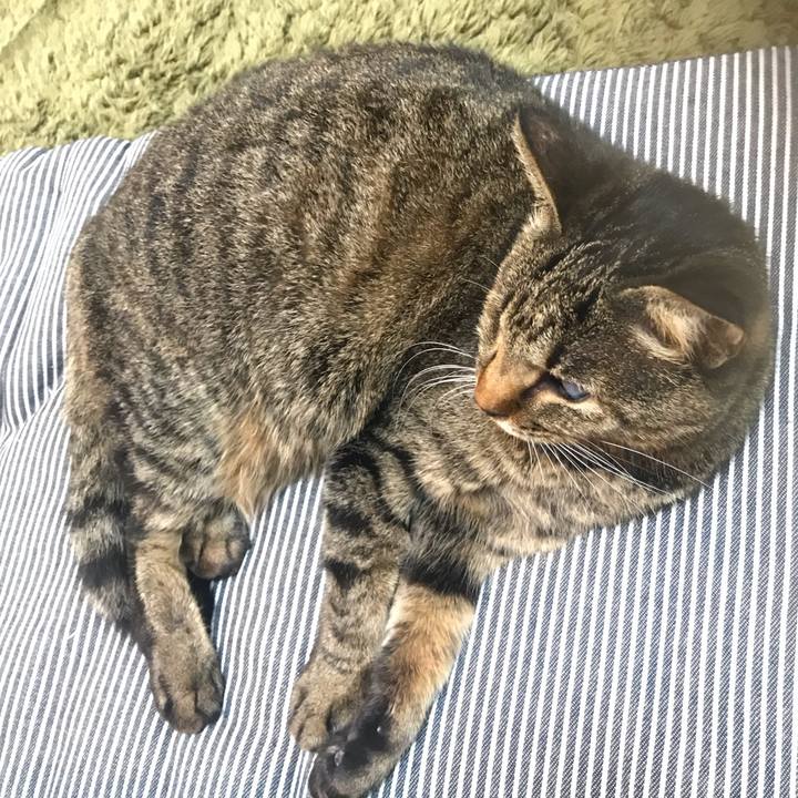 09fac876 b7f1 4c86 ae79 ac2273edd1ee 1611711248421