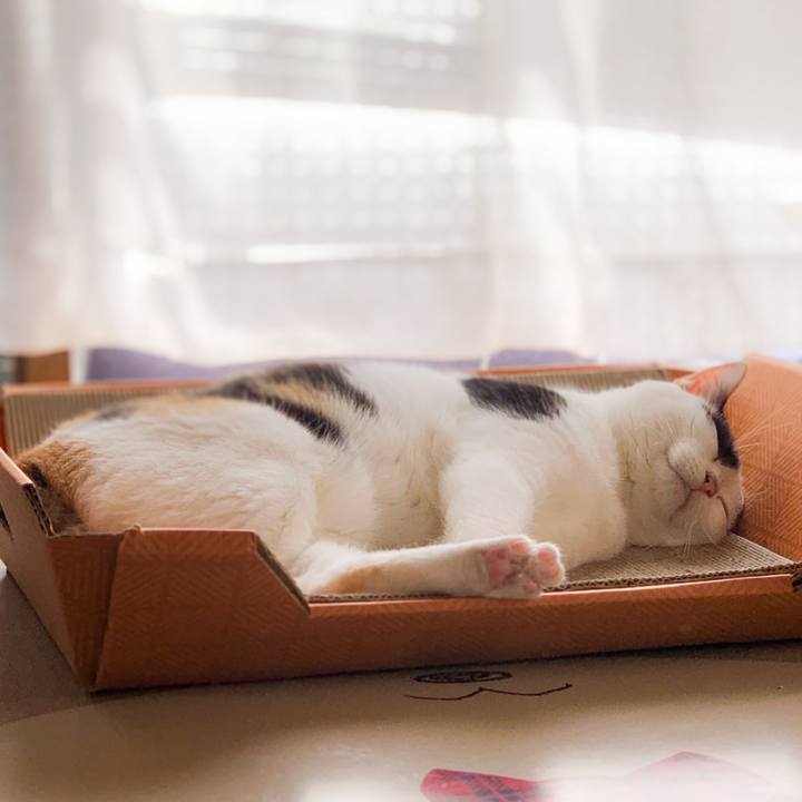 09fad2ef ff83 4187 84a9 23ee87f79e8d 1602122773368