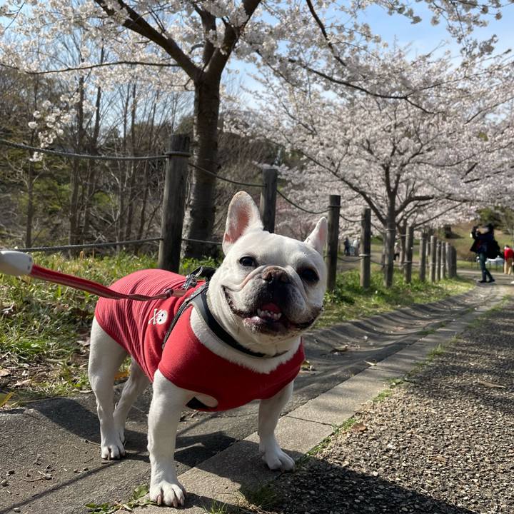 09fada92 557f 49ab a8e9 a4e2843d5f41 1743894603316