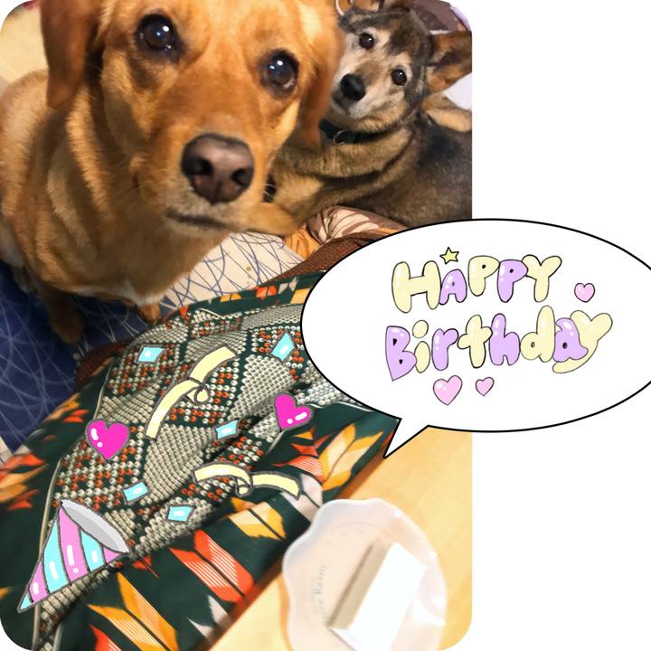 09fafbc3 a162 4335 9581 eed1fdd68daa 1555421956258