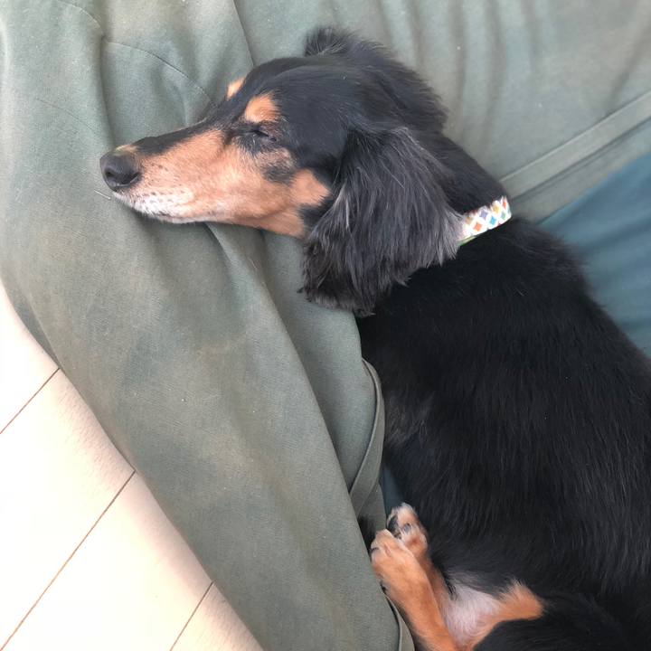 09fb5e00 5c1e 4e11 96c6 be65c65b2ad1 1543641425687