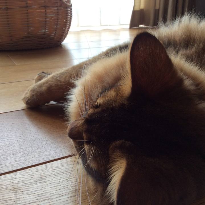 09fb9b0d 2e63 4912 bd3c e1874c4ff914 1592545650225