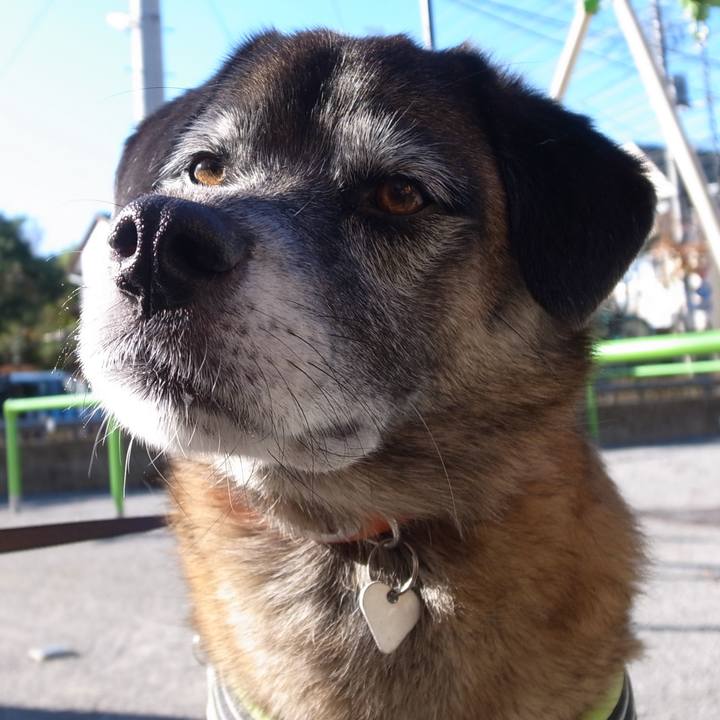 09fbac1e 7fce 4e3b 9849 db4995ed204a 1583372133543