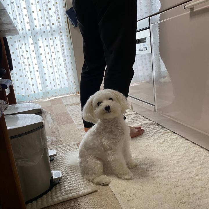 09fbb20d b91c 4e36 a71b 344465c1e1ba 1660915026588