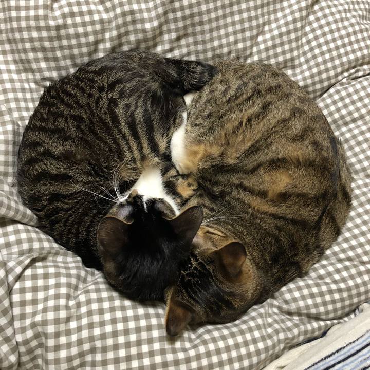 09fbb88a b8ad 42f8 8bfb ee8ff4786a8f 1517426240725