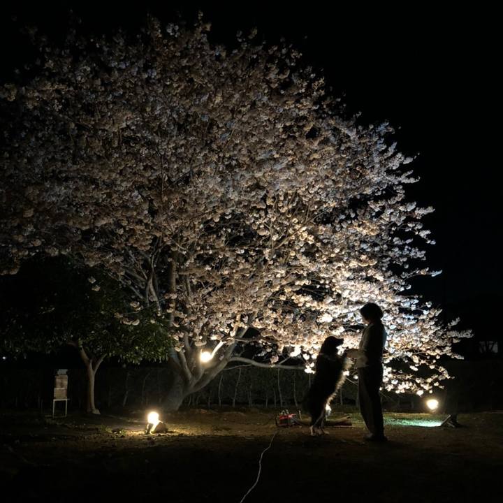 09fbc888 3eae 4b5d be67 4df332dc2459 1616671460584