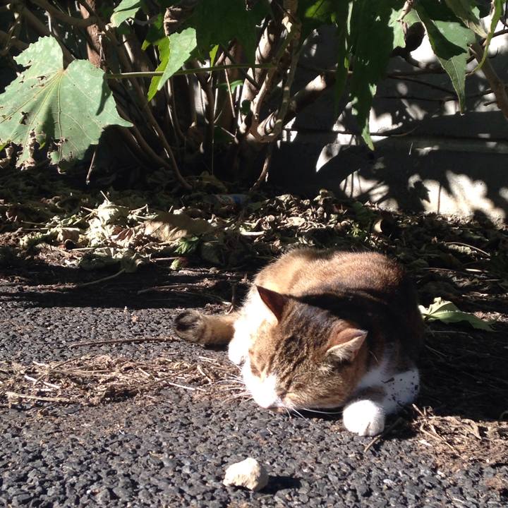 09fbd2a6 db2e 4e40 a180 520b237de857 1511256496889