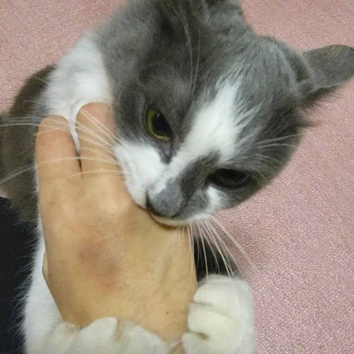 09fc023f 8d98 435a 96fd ad1130edfe3b 1574077417540