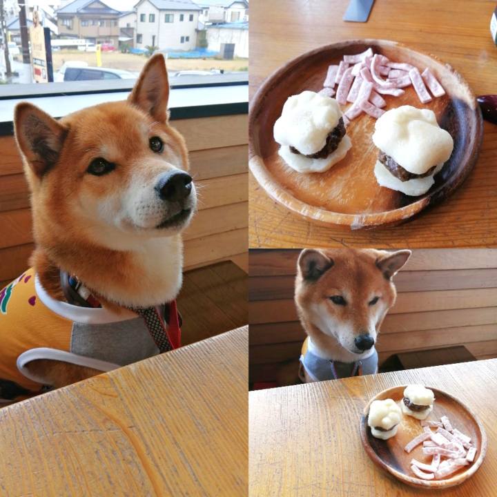 09fc16f0 e701 4b59 9914 90a9e535e2da 1647934092844