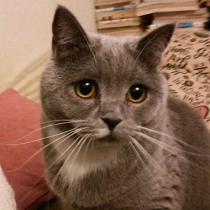 09fc29ea b441 446f 91b6 94cce0704f2b 1576982803990