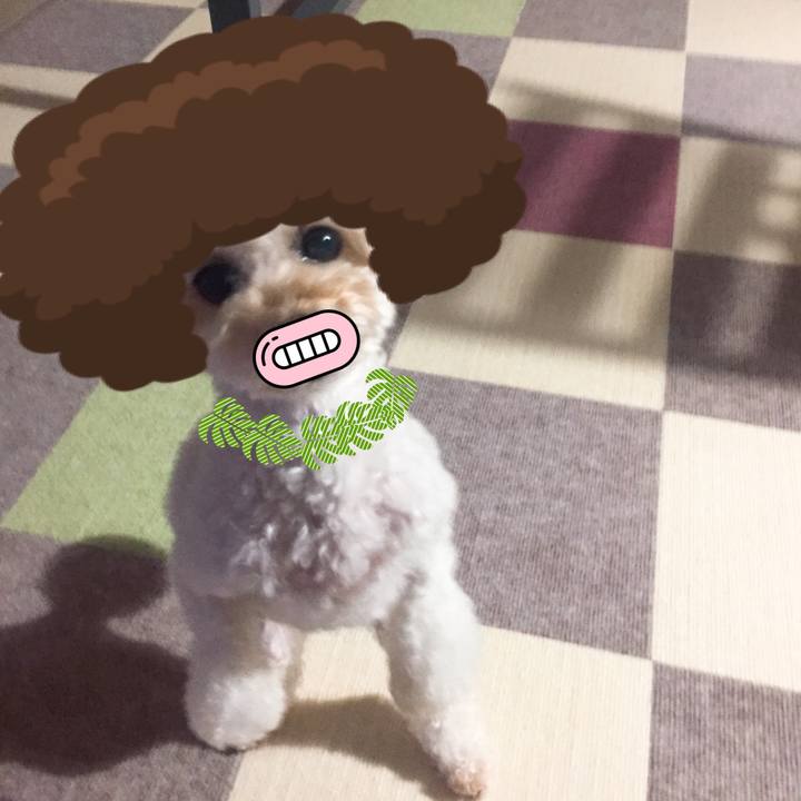 09fc968c 3a58 49ac a549 7a7df230cc8e 1536461102276