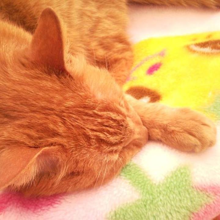 09fcb213 30aa 44a1 ae92 e71b7e357265 1682716449039