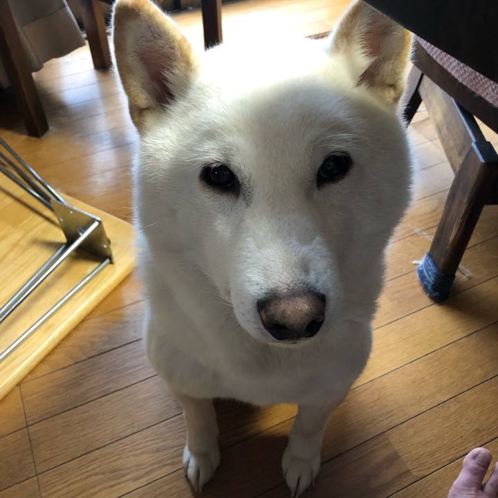 09fcd000 00d3 4759 b2b2 841a259796a3 1576365413484