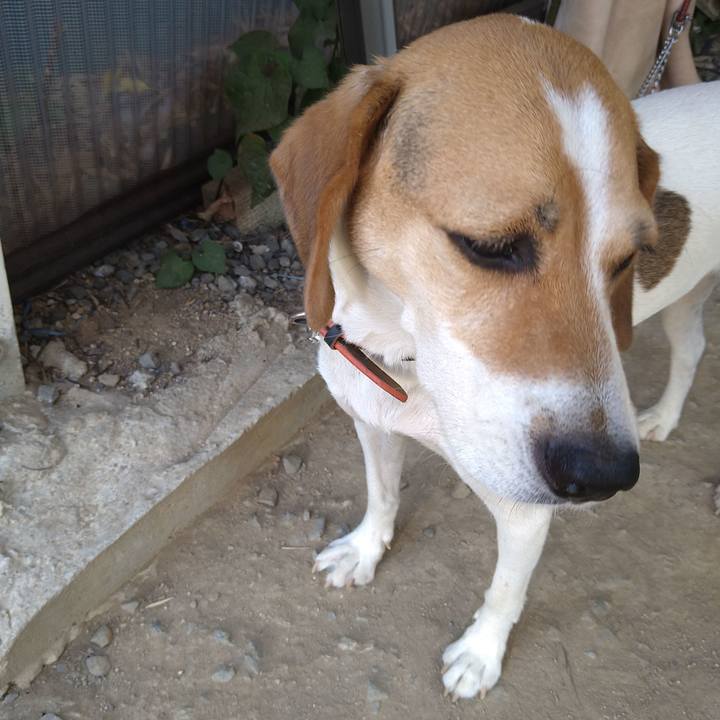 09fcea80 e726 461c b37f 075f565ac14e 1643892551295