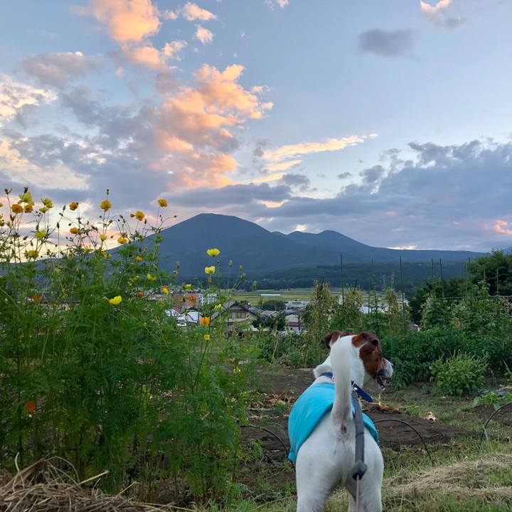 09fcf4f6 7815 4868 ad91 e936a77af737 1599562038071