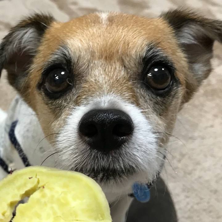 09fcf6c6 7ce3 4947 90da d6ae9146035a 1537169431801