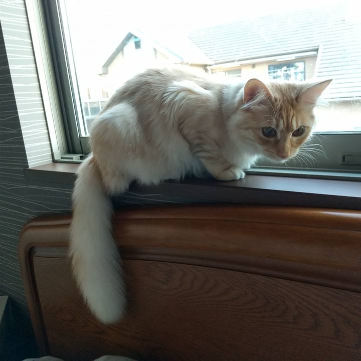 09fd59ca 34e9 4b98 a5ff 7c05473a372a 1618873293096