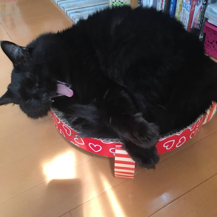 09fd98eb 1379 41f1 bdb3 feaf5e8d1aa7 1533618111277