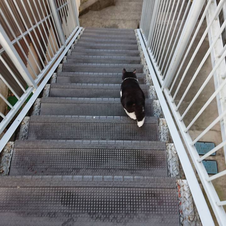 09fda74e 15c5 4ff7 bd7f 394138d509de 1661242866710