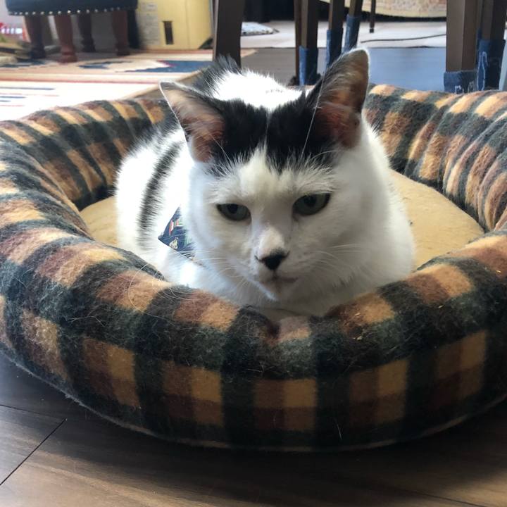 09fdad80 439d 4118 9bed 496a84a9edaf 1573688959455