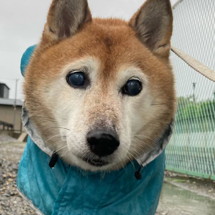 09fdc204 856c 497d 997f c645020eb913 1728431668688