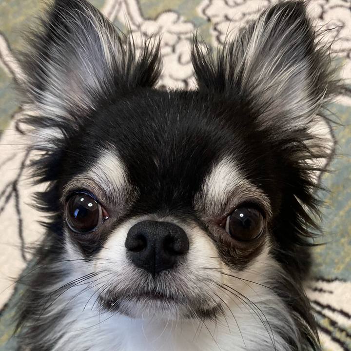 09fdc6af 4242 4185 9834 554146e8e04b 1625871664905