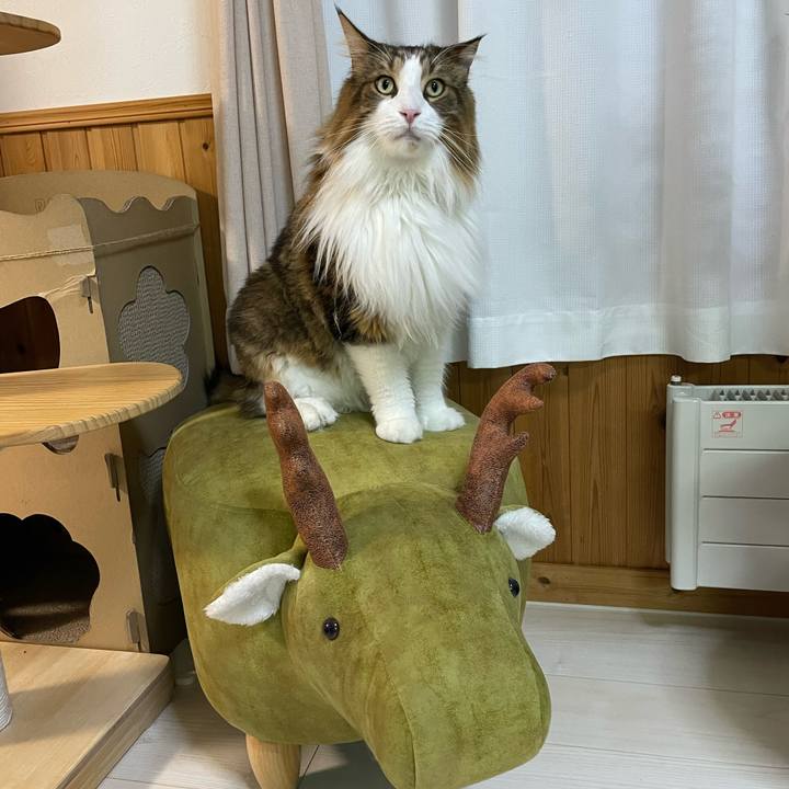 09fddf35 d56b 404a 9cbe 904035b51bb7 1761082316869