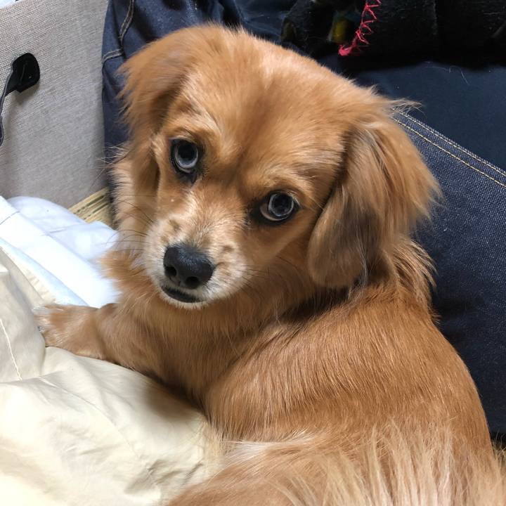 09fe1b6c 3ac6 49e4 bab9 55fcb6a204dd 1511050484532