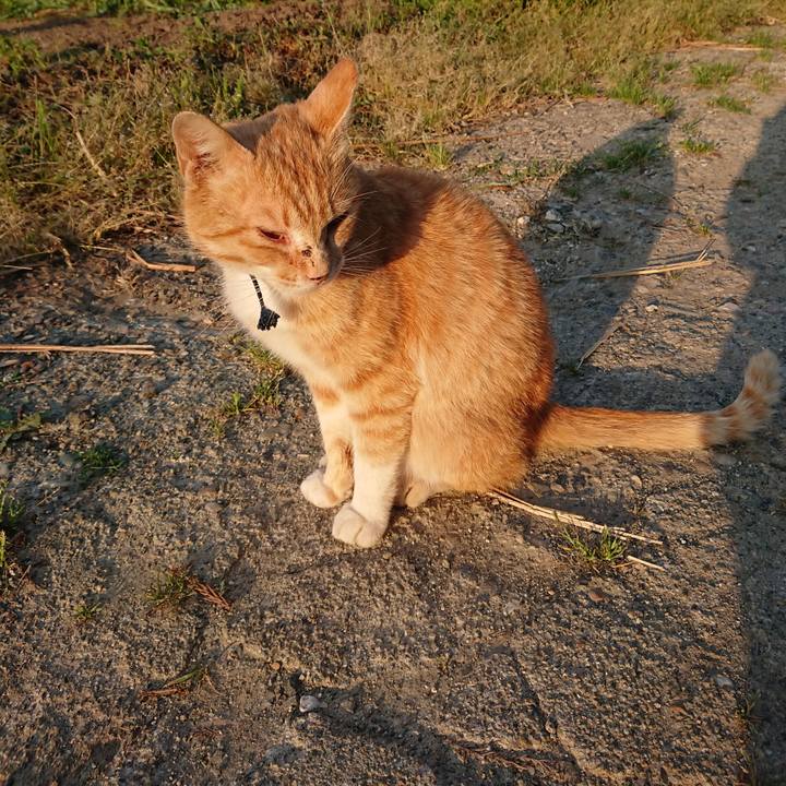 09fe2c56 9fef 4a9d b741 d94bef1b634f 1558902893927