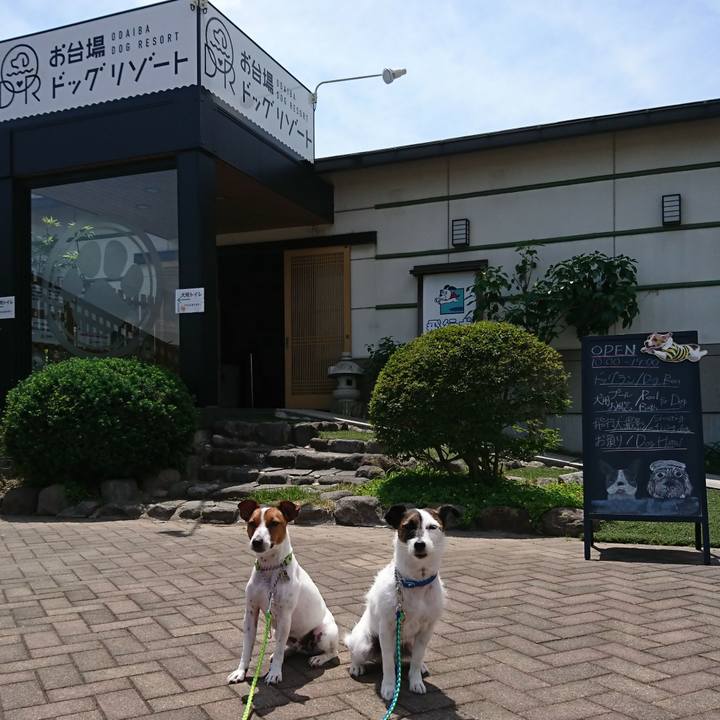 09fe7b3d 957b 481d bc64 17bc1292326c 1557890062293