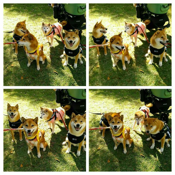 09fe9f0c 6604 489a 9325 22695f855b56 1540110404164