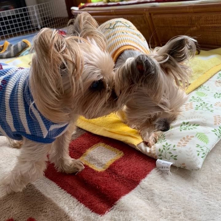 09feb55d 6bac 41fe b79e b00912f7aa36 1671267583554