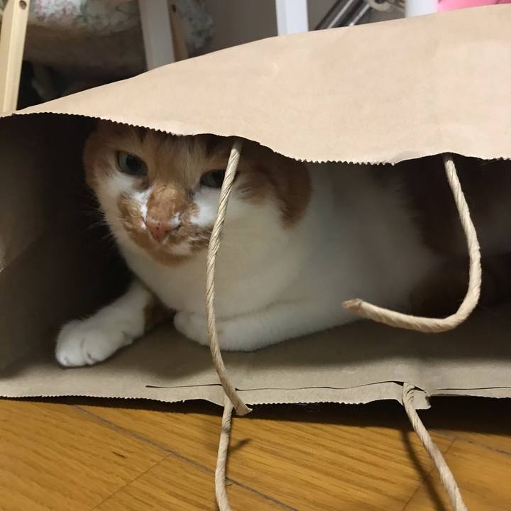 09fec7eb f608 4cf5 96d0 f6a7a1ac7940 1574560294106