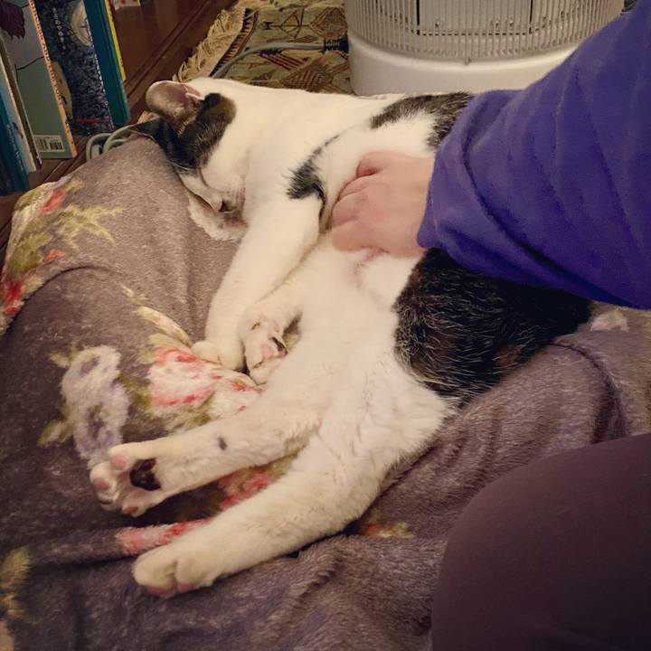 09fee253 8b3f 4363 b858 47847c1537e5 1607526559354