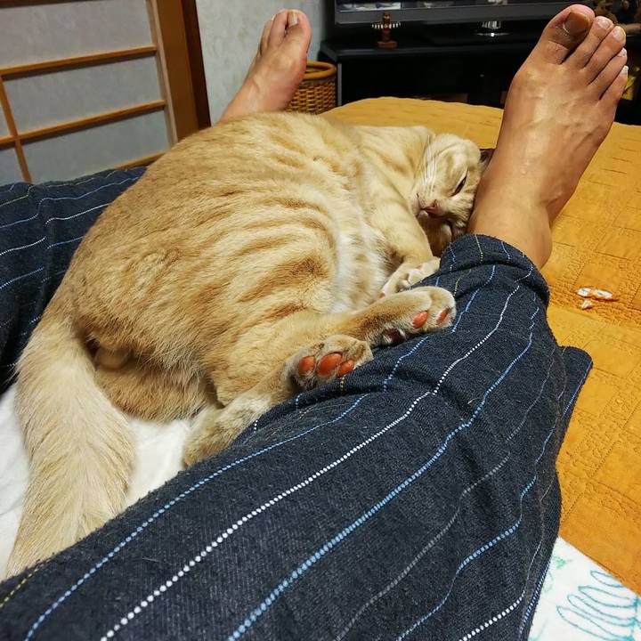 09fee7a9 0428 4955 a120 a81f14f1f96a 1590406398427