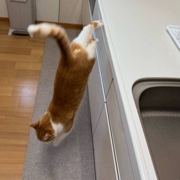 09fef860 93f0 49fe bdb9 60b7f4e05a3b 1760064114363