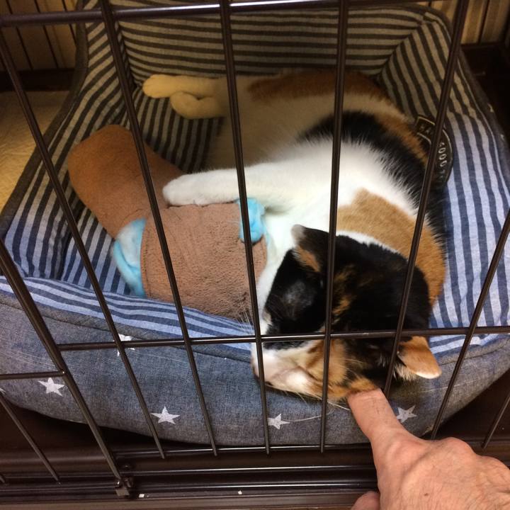 09fef9d2 a9e1 44c3 942c cdf153afa4e4 1580770669644