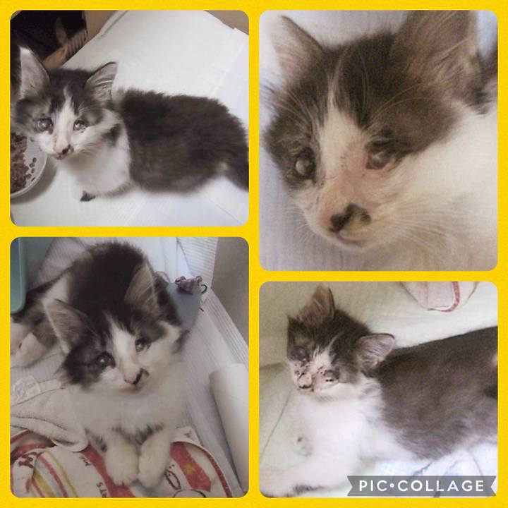 09ff1742 b4d7 4b38 926c dd228935d4e5 1720312228614