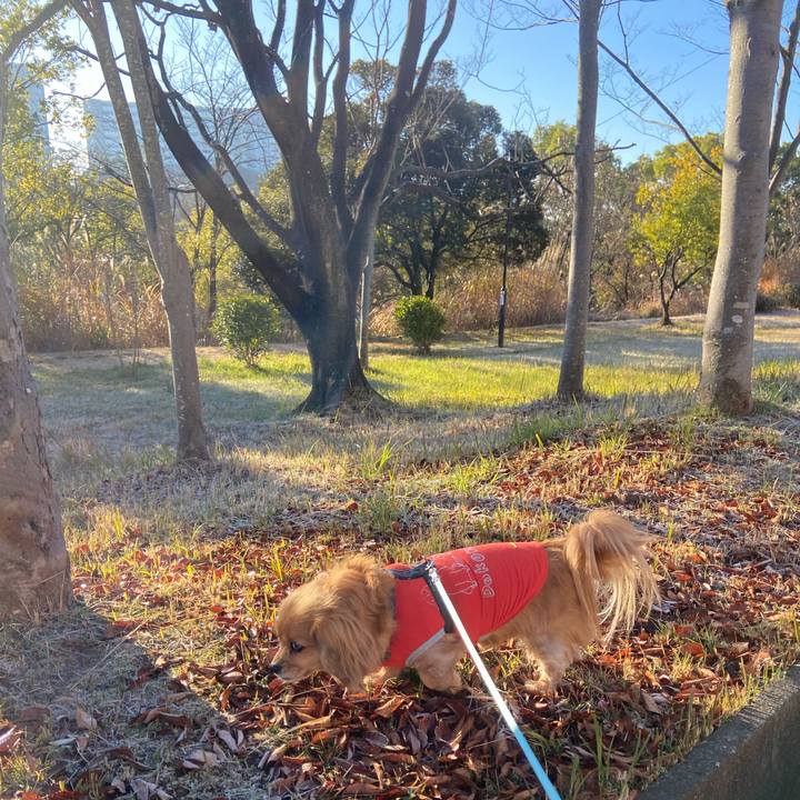 09ff2c2e cfa7 4828 953d 7ab721c8efaa 1608422271815